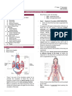 AP08 Cardio Heart