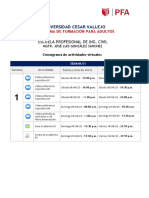 Cronograma de Actividades - Pfa 202102