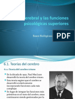 Bases Biologicas 6