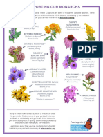 WI Monarch Plants With Color Pix