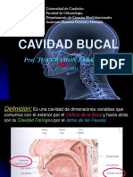 Zarate Cavidad Bucal 2021