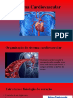 Sistema Circulatório