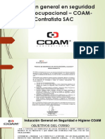 Inducción General en Seguridad y Salud Ocupacional - COAM-Contratista SAC