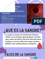 Fisiológica Sanguínea - 1