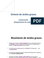 Síntesis de Ácidos Grasos: Insaturación Alargamiento de Cadenas