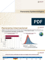 Panorama Epidemiológico