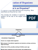 Classification of Organisms: What Is An Organism?