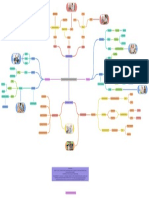 Calidad de Vida y Envejecimiento Saludable (Mapa Conceptual)