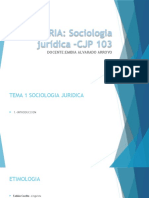 MATERIA: Sociologia Jurídica - CJP 103: Docente:Emidia Alvarado Arroyo