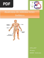 UFCD 9137 Anatomia Do Sistema Veno-Linfático Índice