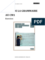 Faire de La Grammaire Au Cm1: Exercices