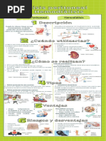 El Proceso