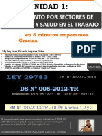 Reglamento Por Sectores de Seguridad Y Salud en El Trabajo: Unidad 1