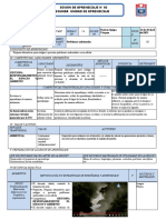 SESIÓN DE APRENDIZAJE - Contaminacion Ambiental