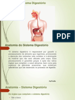 Anatomia - Sistema Digestório