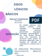 Processos Psicológicos Básicos: Wallacy Rodrigues