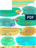 Infografia Evolucion Humana Ilustrado Colores Neutrales