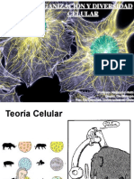 Organizacion Y Diversidad Celular: Profesor Alejandro Roth Depto. de Biología Fac. de Ciencias. Universidad de Chile