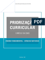 Priorização Curricular: Currículo Da Cidade