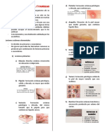 Semiología de La Piel y Faneras