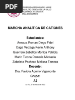 Marcha Analítica de Cationes