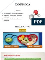 BQ 3 - Metabolismo