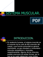 MUSCULOS