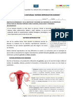 Evaluación Ciencias SEREY 7 Básico