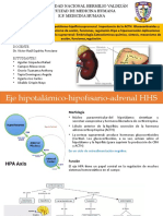 Corteza Suprarrenal