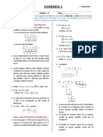 EVIDENCIA01 1eroarit IB