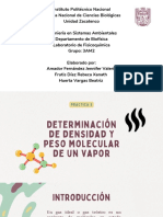 Densidad y Peso Molecular de Un Vapor