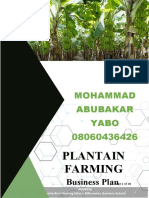 PLANTAIN FARMING BUSINESS PLAN Mohammad Abubakar Yabo