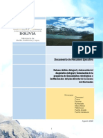 Documento de Resumen Ejecutivo