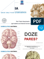 Aula 05 - Nervos Cranianos