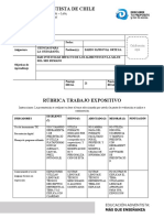 Rubrica Evaluación Iii Medio Ciencias de La Ciudadanía