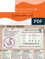 Regulación de La Síntesis de Galactosidasa En: Escherichia Coli