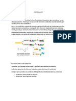 Metabolismo Intermedio D