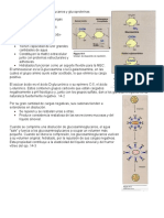 Glucoproteinas 