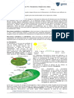 Colegio Polivalente Don Orione / Subdirección Académica e Inclusión Escolar / Área de Evaluación