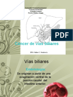 Cáncer de Vías Biliares