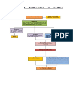 Esquema de Recurso de Revocatoria en Materia Tributaria