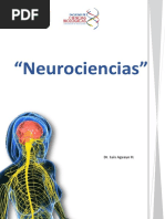 Nuevo Proyecto Neurociencias