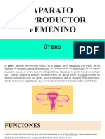 Aparato Reproductor Femenino: Útero