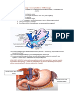 Drenaje Venoso y Linfatico Del Estómago