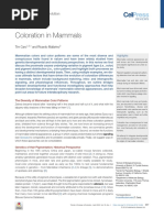 Caro 和 Mallarino - 2020 - Coloration in Mammals