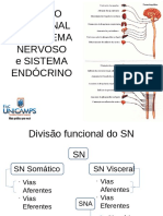 Divisão Funcional Do Sistema Nervoso