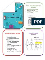 Escalas DE Valoración: Control de Liquidos Adultos