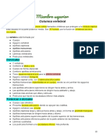 Miembro Superior: Columna Vertebral