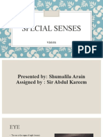 Special Senses: Vision