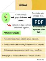 Mapas Mentais - Fundamentos Da Nutrição